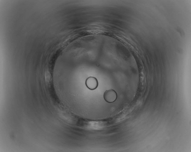 X0000111860371200907231457
