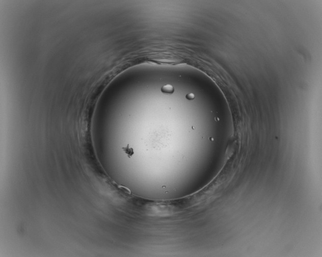 X0000111860372200907231457