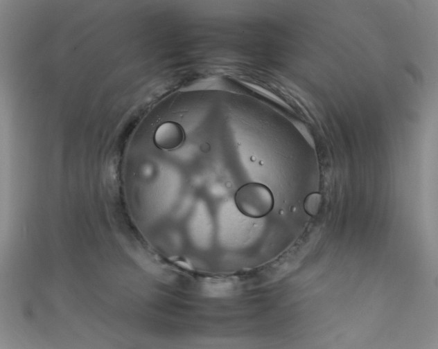 X0000111860373200907231457