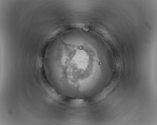 X0000111860374200907231457