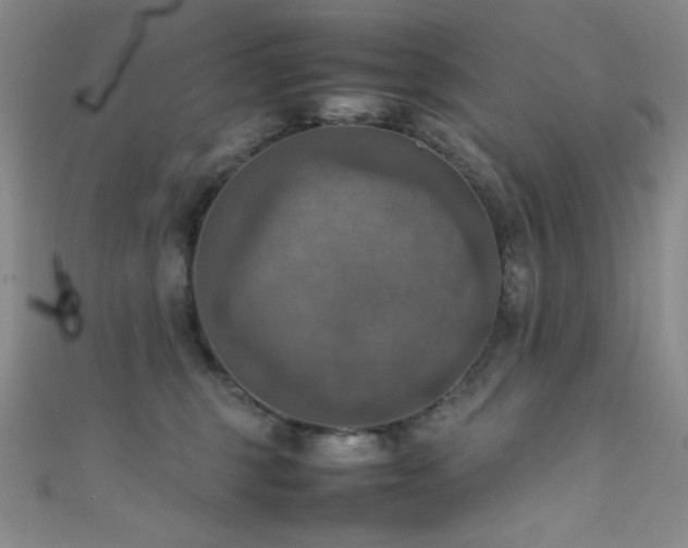 X0000111860375200907231457