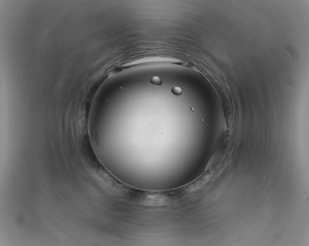 X0000111860376200907231457
