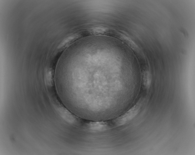 X0000111860378200907231457