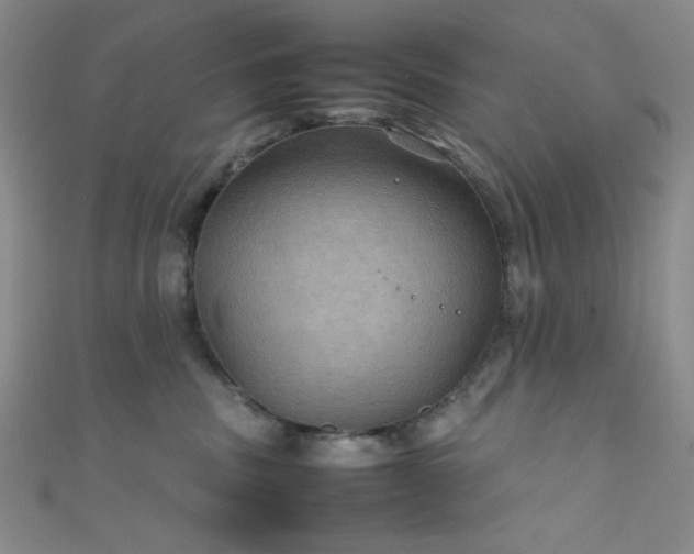 X0000111860379200907231457