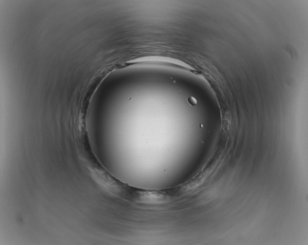 X0000111860380200907231457