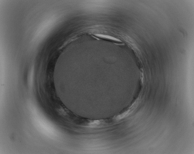 X0000111860382200907231457