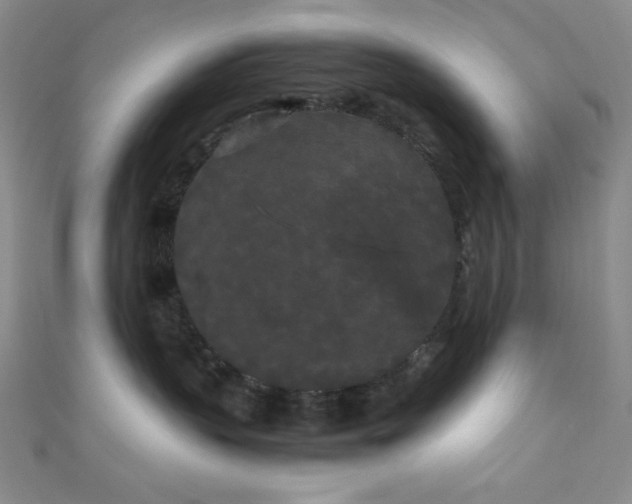 X0000111860383200907231457