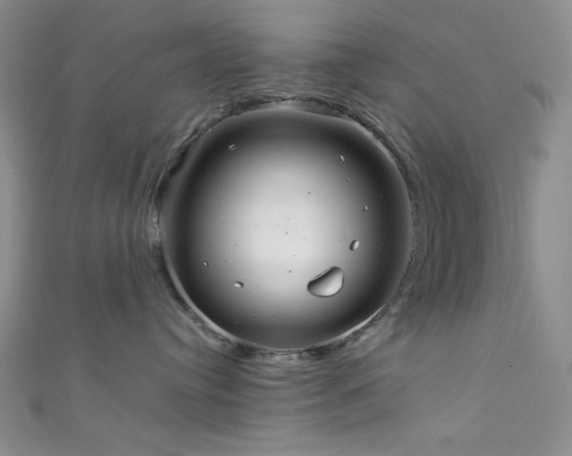 X0000111860384200907231457