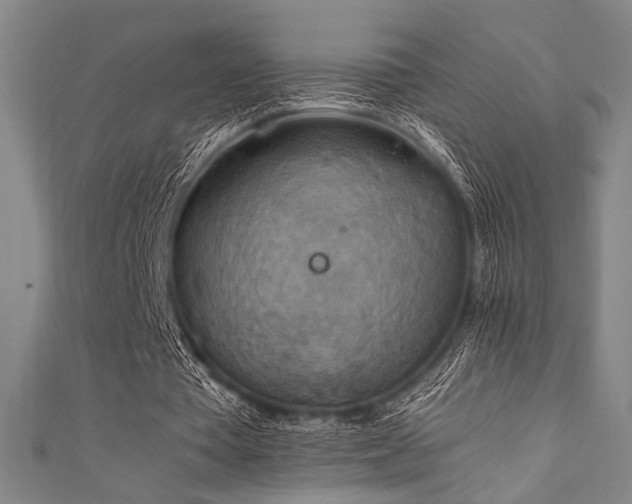 X0000111860385200907231456