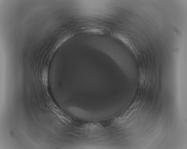 X0000111860386200907231456