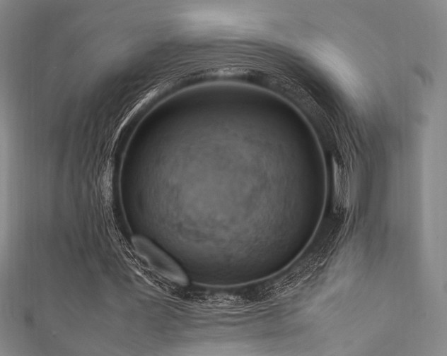 X0000111860387200907231456