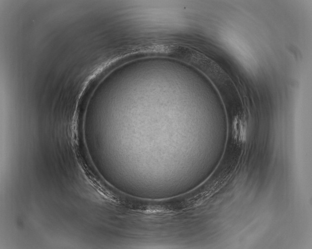 X0000111860388200907231456