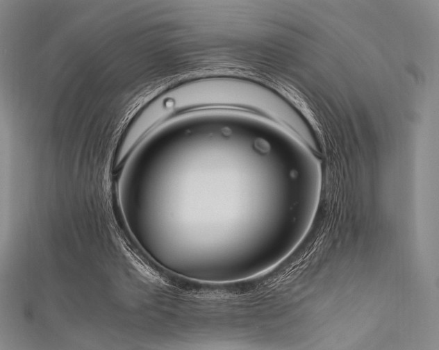 X0000111860389200907231456