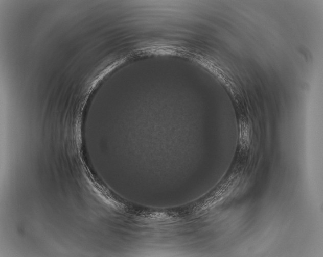 X0000111860390200907231456