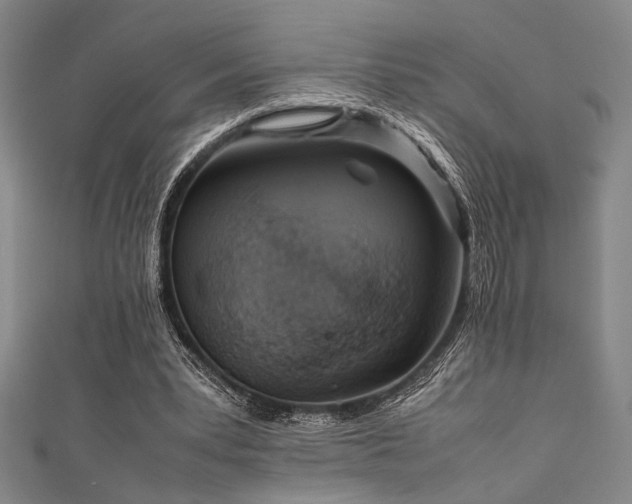 X0000111860391200907231456