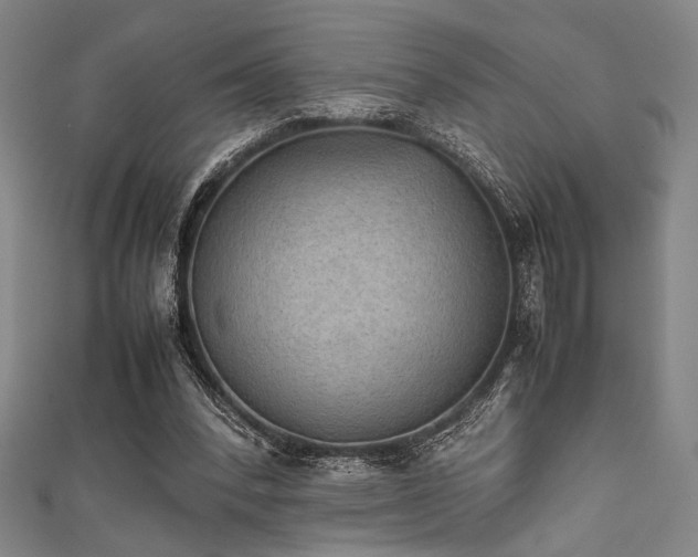 X0000111860392200907231456