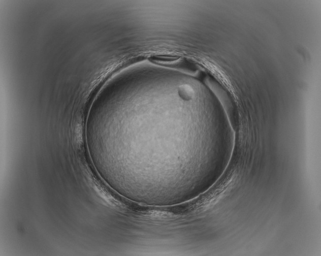X0000111860393200907231456