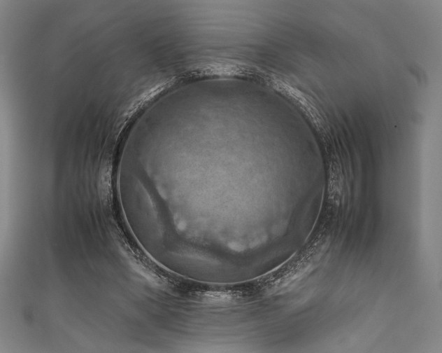X0000111860394200907231456