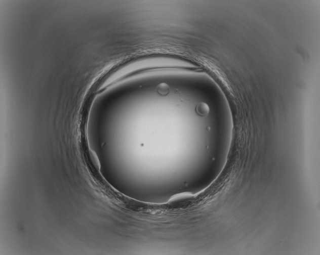 X0000111860395200907231456