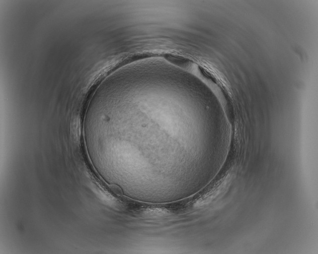 X0000111860397200907231456