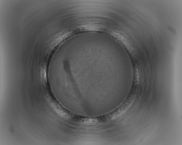 X0000111860398200907231456