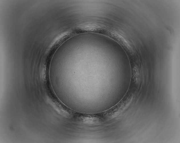 X0000111860400200907231456