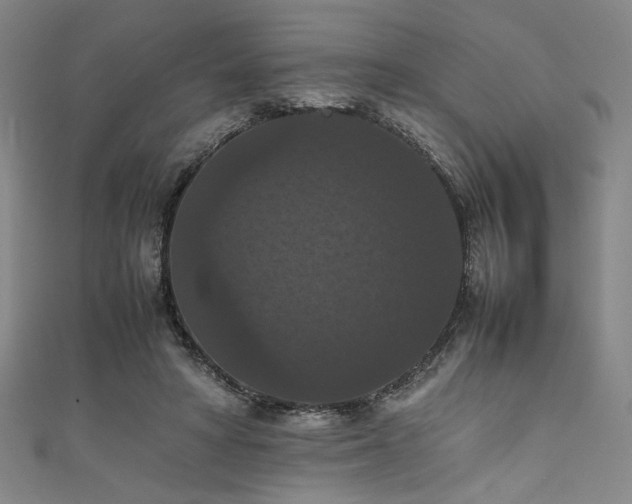 X0000111860402200907231456