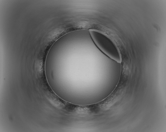 X0000111860403200907231456
