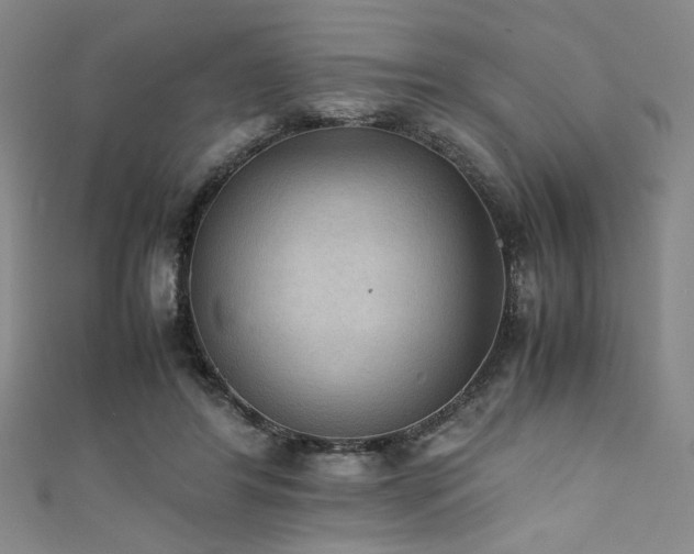 X0000111860404200907231456