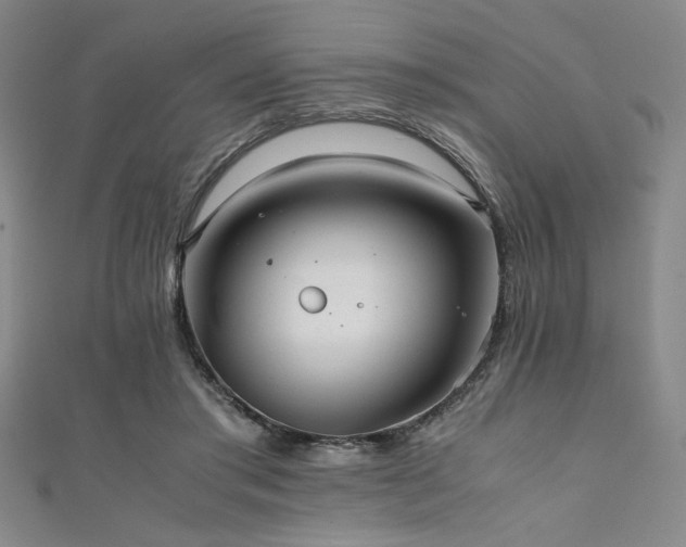 X0000111860405200907231456