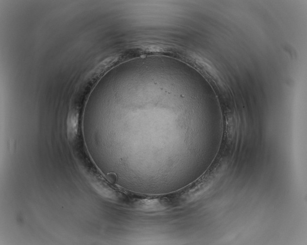 X0000111860406200907231456
