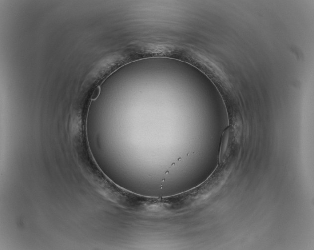 X0000111860407200907231456