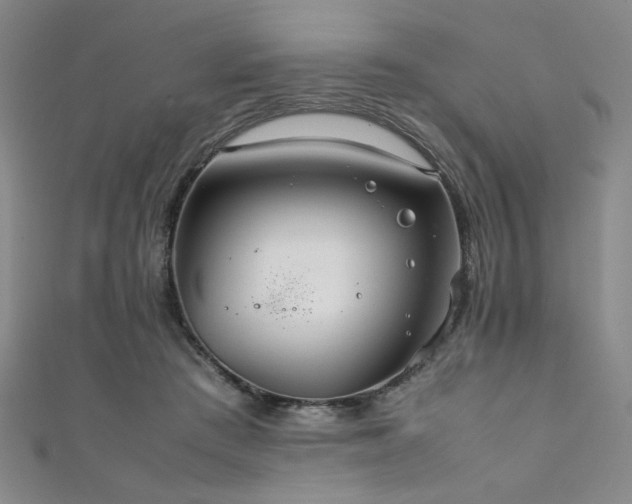 X0000111860409200907231456