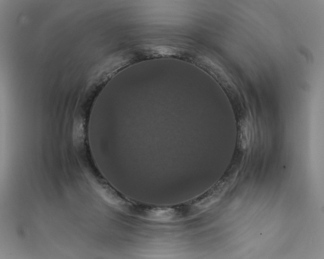 X0000111860410200907231456