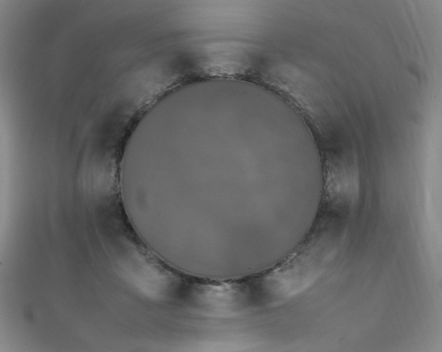 X0000111860411200907231456