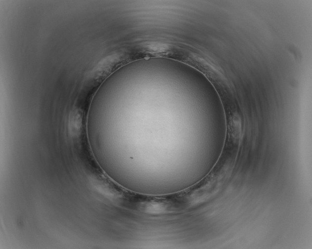 X0000111860412200907231456