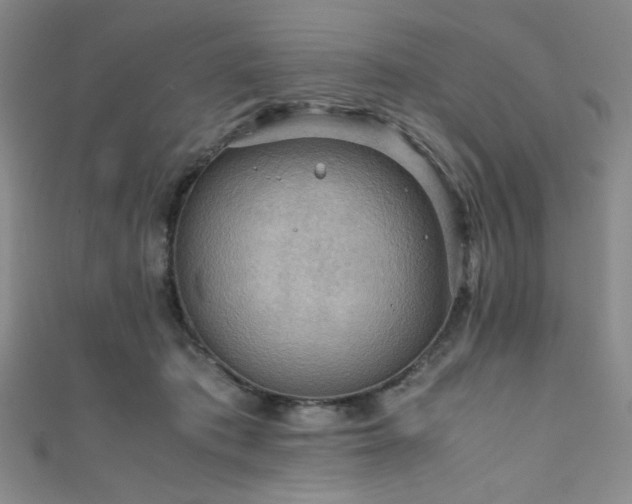 X0000111860413200907231456