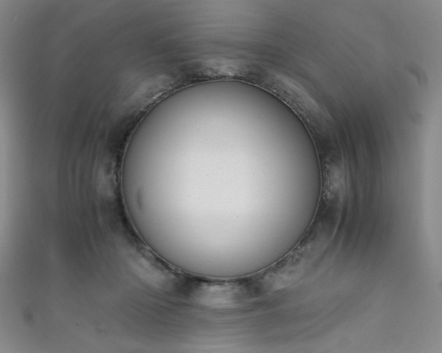 X0000111860414200907231456
