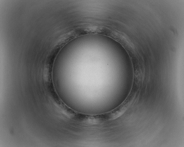 X0000111860416200907231456