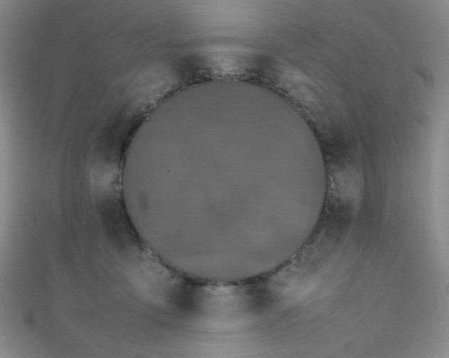 X0000111860419200907231456