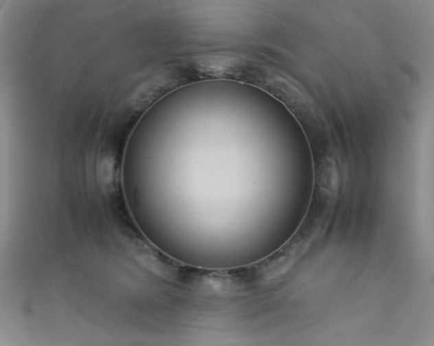 X0000111860420200907231456