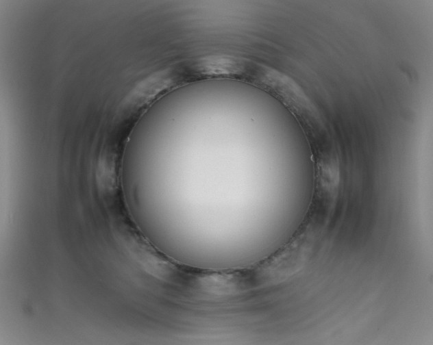 X0000111860422200907231456