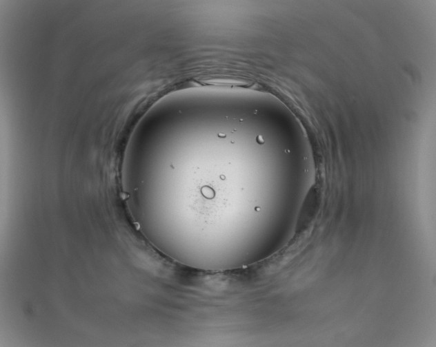 X0000111860423200907231456