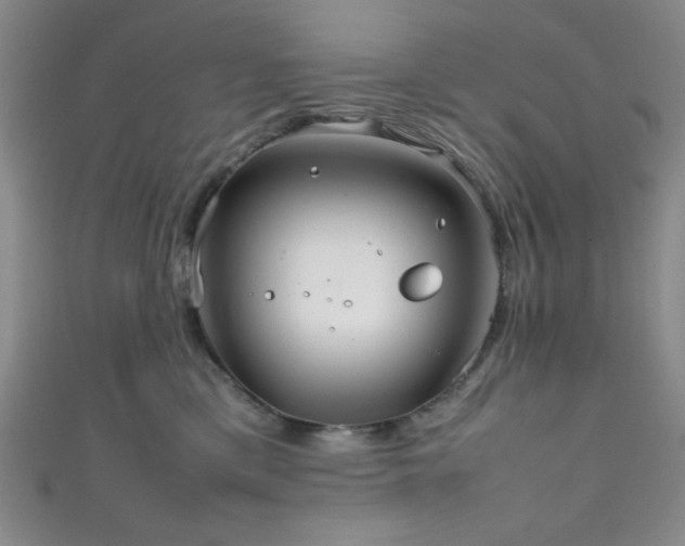 X0000111860425200907231456