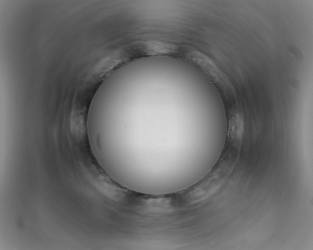 X0000111860426200907231456