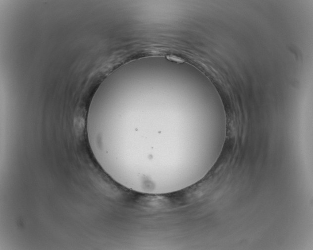 X0000111860427200907231456