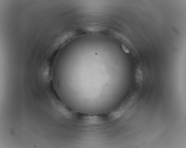 X0000111860428200907231456
