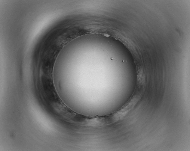 X0000111860430200907231456