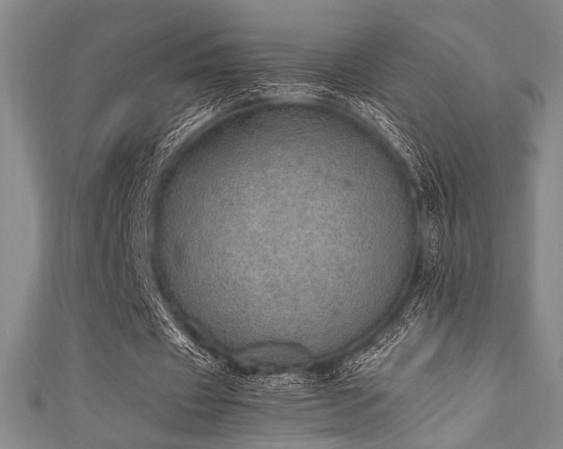 X0000111860433200907231455