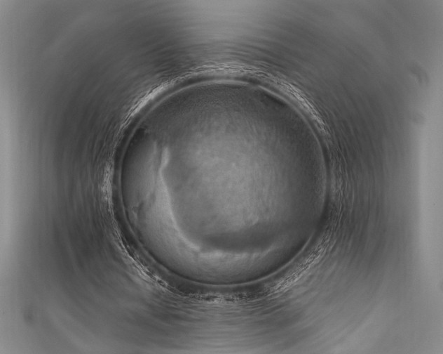 X0000111860434200907231455